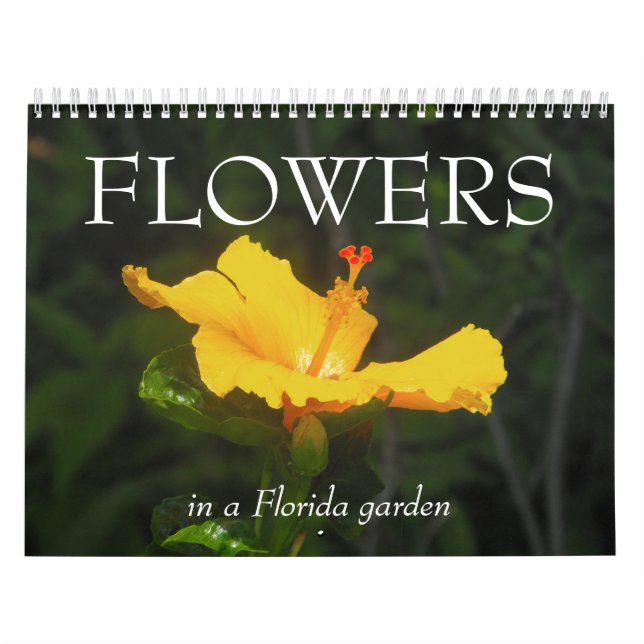 Calendrier Mural FLEURS dans un jardin de la Floride… (Protection)