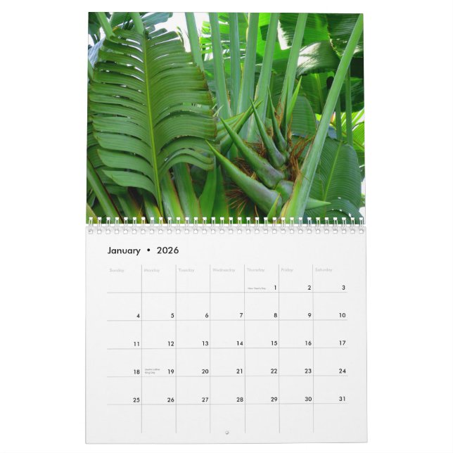 Calendrier Mural Fleurs d'Hawaï (Jan 2026)