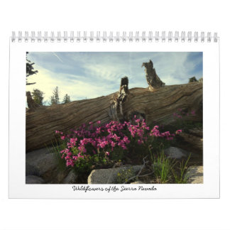 Calendrier Mural Fleurs sauvages de la sierra Nevada