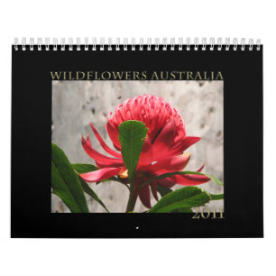 Calendrier Mural Fleurs sauvages de l'Australie