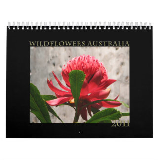 Calendrier Mural Fleurs sauvages de l'Australie