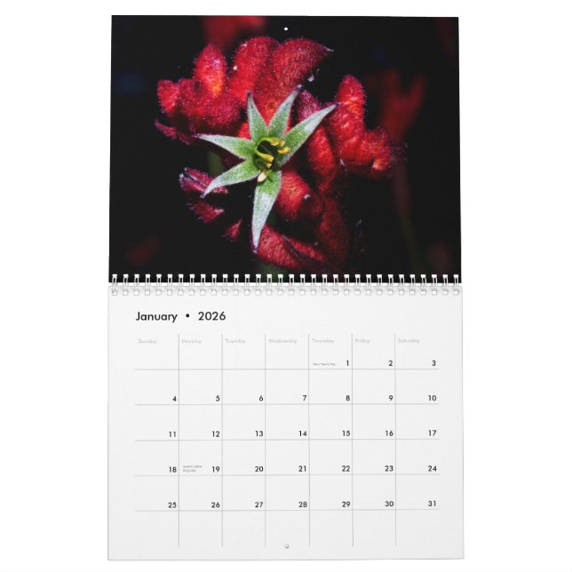 Calendrier Mural Fleurs sauvages de l'Australie (Jan 2026)