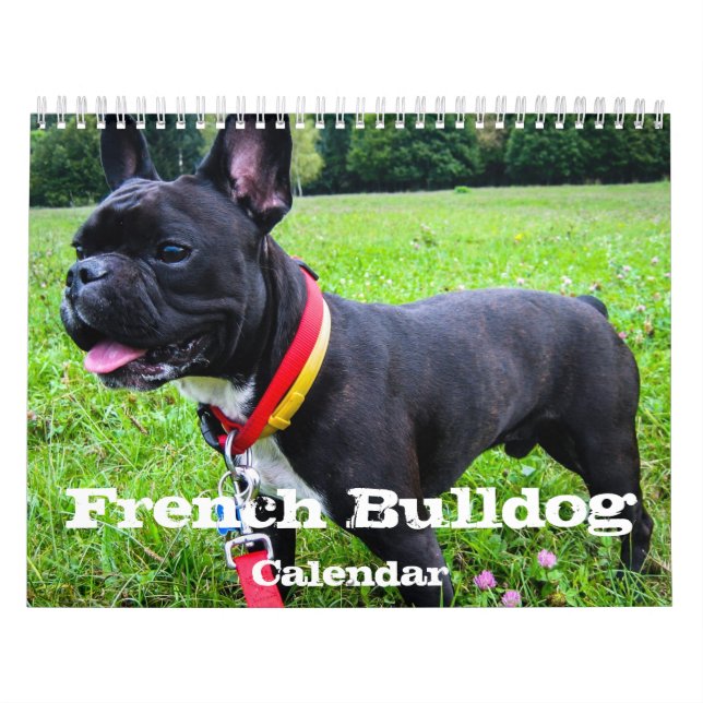 Calendrier Mural French Bulldog Custom Calendar Ajouter Photos d'an (Protection)