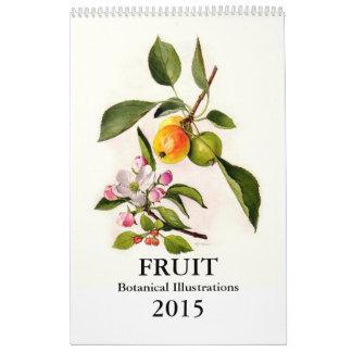 Calendrier Mural Fruit 2015