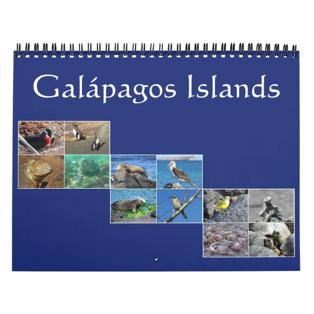 Calendrier Mural galapagos faune 2026 (Protection)