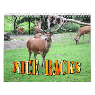 Calendrier mural gentil de supports