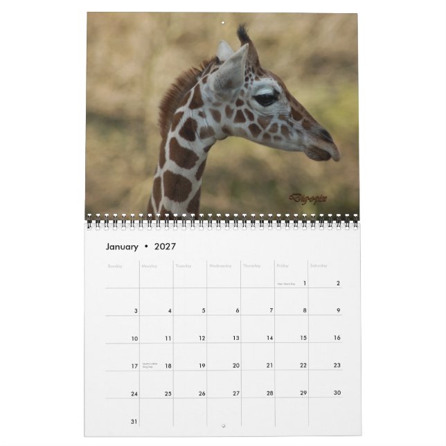 Calendrier Mural Giraffe bébé 2012 (Jan 2027)