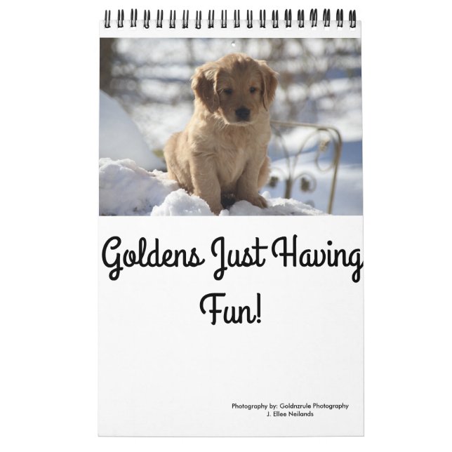 Calendrier Mural Goldens ayant juste l'amusement (Protection)