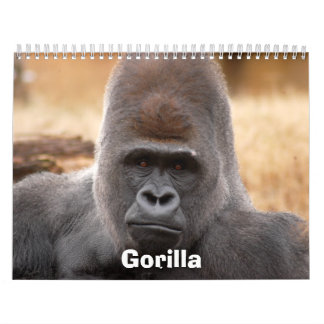 Calendrier Mural Gorilla_018, gorille