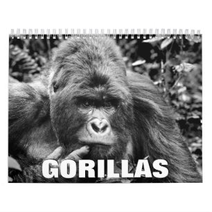 Calendrier mural Gorillas