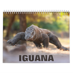 Calendrier mural Iguana