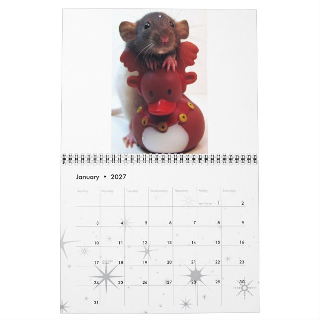 Calendrier Mural Image du taux 2012 (Jan 2027)