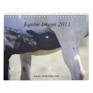Calendrier Mural Images équines 2011