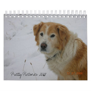 Calendrier Mural Jolies images 2008