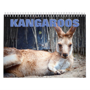 Calendrier mural Kangaroos 2022