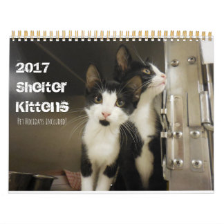 Calendrier Mural Kittens 2017