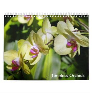 Calendrier Mural La beauté des orchidées