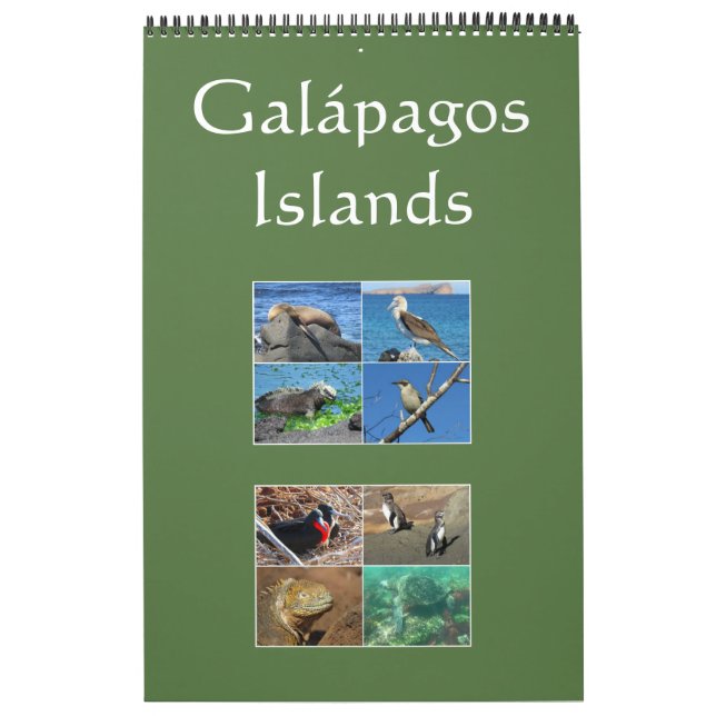 Calendrier Mural la faune des îles galapagos (Protection)