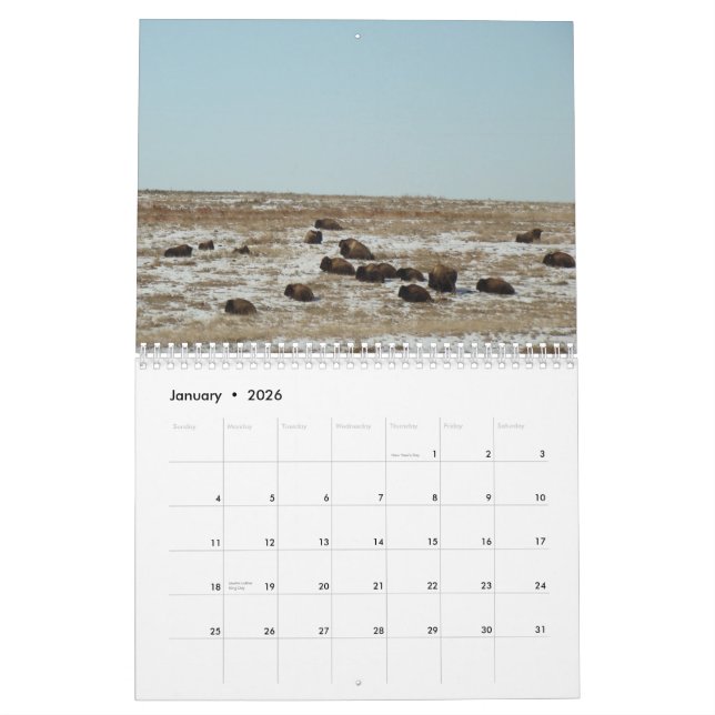 Calendrier Mural Là où le theBuffalo errent (Jan 2026)