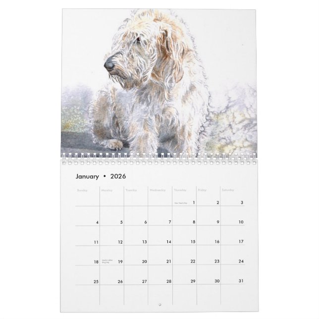 Calendrier Mural Labradoodles (Jan 2026)