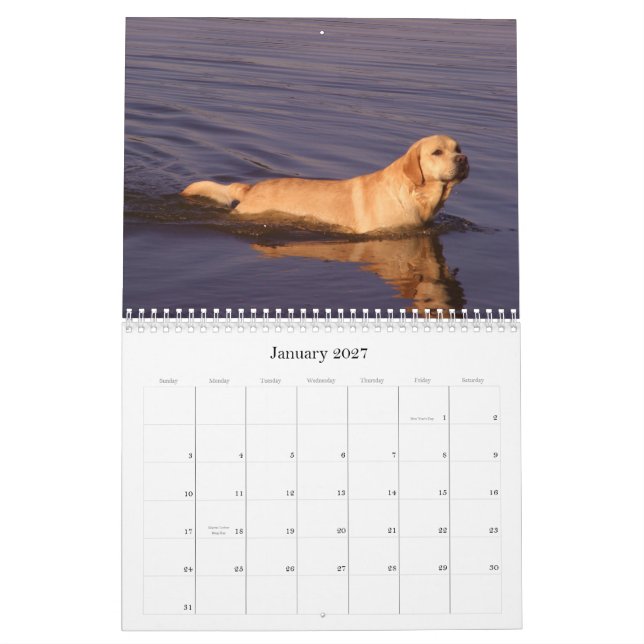 Calendrier Mural Labrador 2009 (Jan 2027)