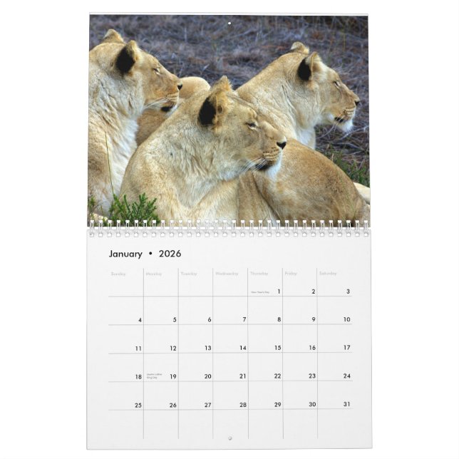 Calendrier Mural L'Afrique du Sud (Jan 2026)