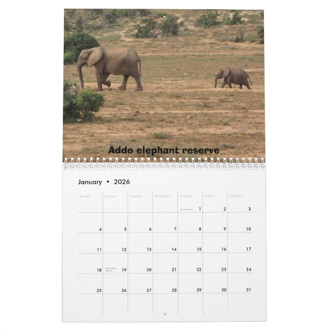 Calendrier Mural L'Afrique du Sud 2011 (Jan 2026)