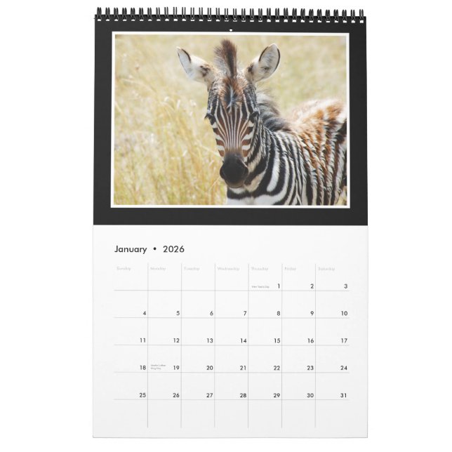Calendrier Mural L'Afrique sauvage animale 2013 (TOUTE ANNÉE) (Jan 2026)