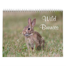 Calendrier Mural Lapins sauvages