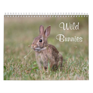 Calendrier Mural Lapins sauvages