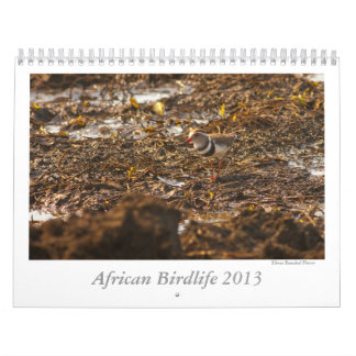 Calendrier Mural L'avifaune africaine classent