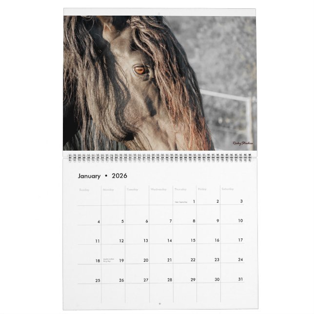 Calendrier Mural Le frison fait varier le pas de 2015 (Jan 2026)