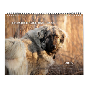 Calendrier Mural Le gardien de bétail poursuit 2015 ÉNORMES