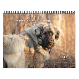 Calendrier Mural Le gardien de bétail poursuit la taille 2015