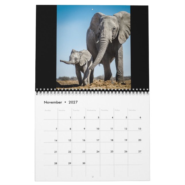 Calendrier Mural Le plus petit Giants (Nov 2027)
