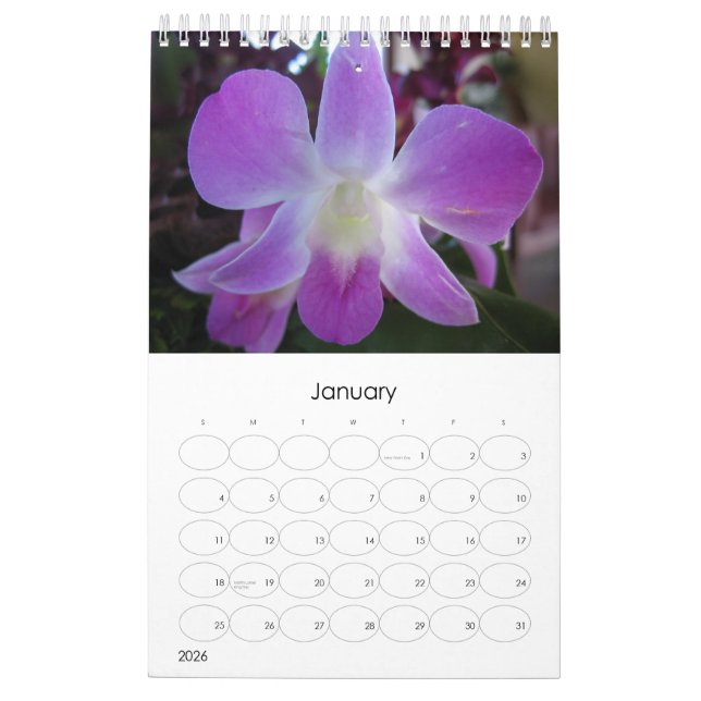 Calendrier Mural Le Tahiti (Jan 2026)