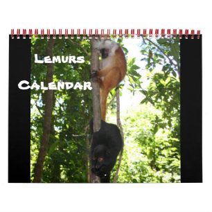 CALENDRIER MURAL LEAPING LEMURS
