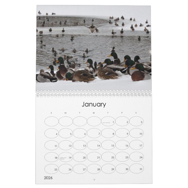 Calendrier Mural L'eau sur le cerveau 2 (Jan 2026)