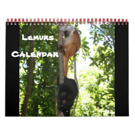 Calendrier Mural Lemur Wild Primate Bienvenue Accueil Destiny Desti
