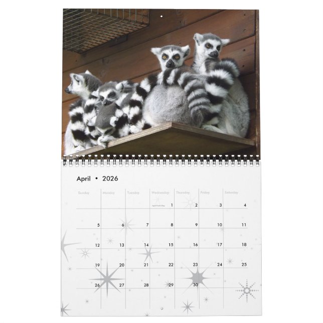 Calendrier Mural Lemur Wild Primate Bienvenue Accueil Destiny Desti (Apr 2026)