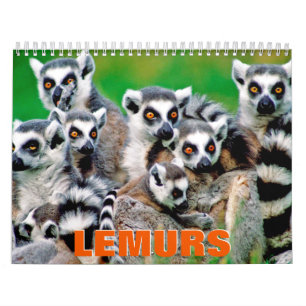 Calendrier mural Lemurs 2022