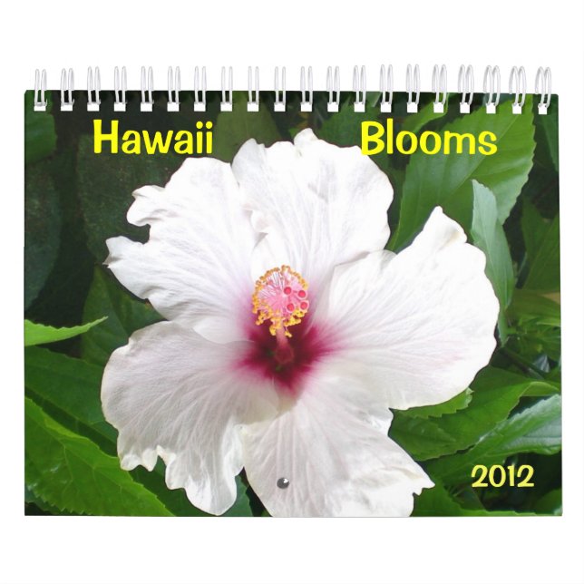Calendrier Mural Les fleurs d'Hawaï (Protection)
