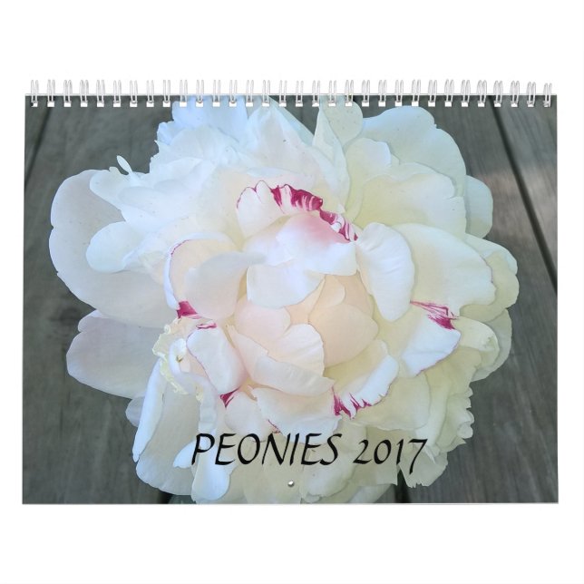Calendrier Mural Les pivoines classent 2017 (Protection)