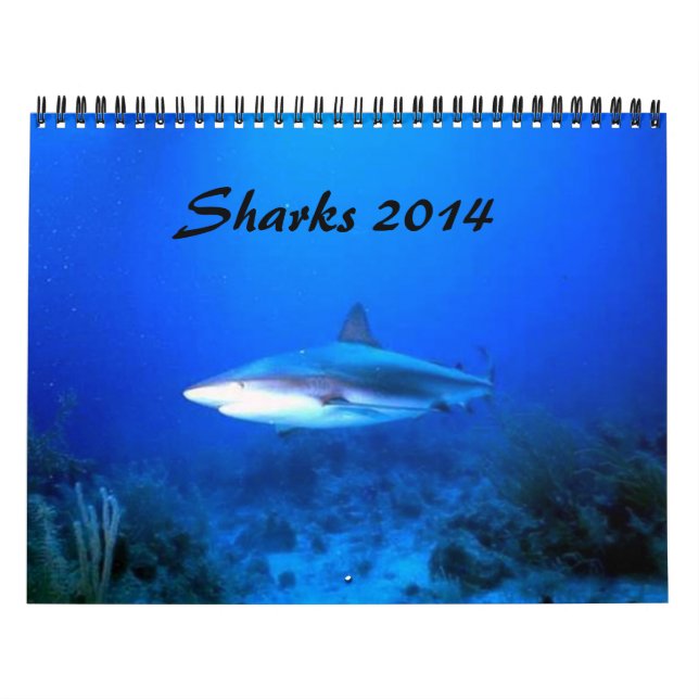 Calendrier Mural Les requins classent 2014 (Protection)