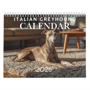 Calendrier mural Lévrier italien 2026