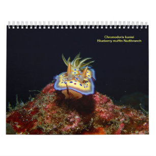Calendrier Mural Lingots de mer
