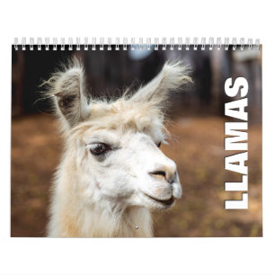 Calendrier mural Llamas 2022