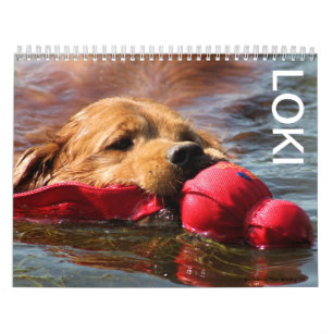 Calendrier Mural Loki