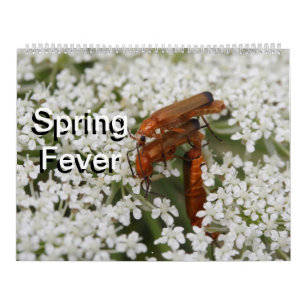 Calendrier Mural Macros d'insectes 2024 Kalender