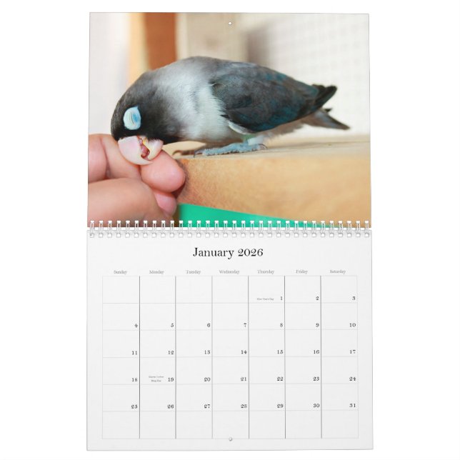 Calendrier Mural Mémoire syphilitique de bonbon à perruche (Jan 2026)